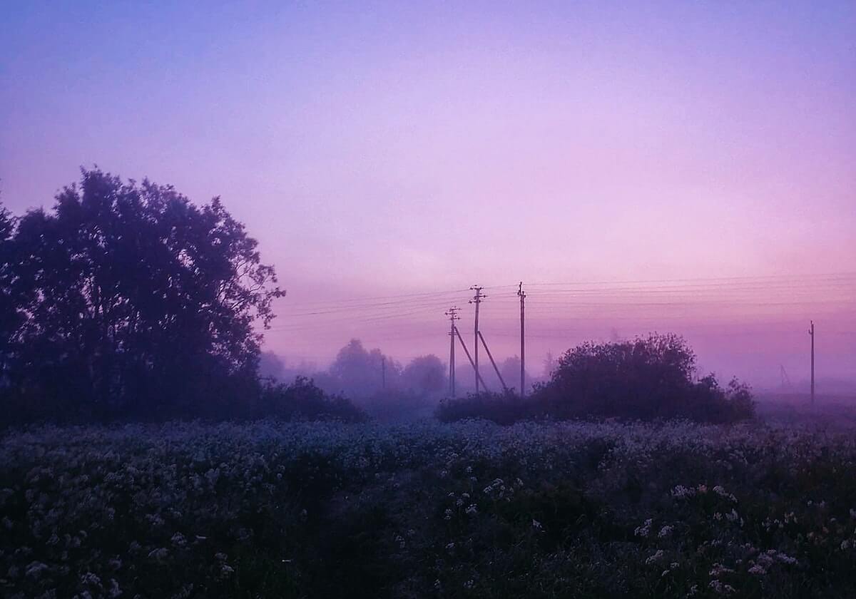 九游体育：点亮运动生活的全方位数字平台